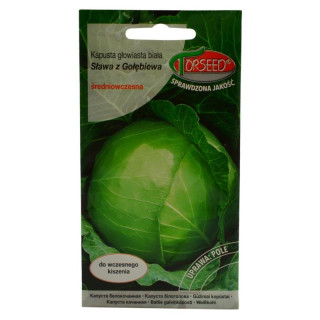 Nasiona Kapusta głowiasta biała Sława 2g